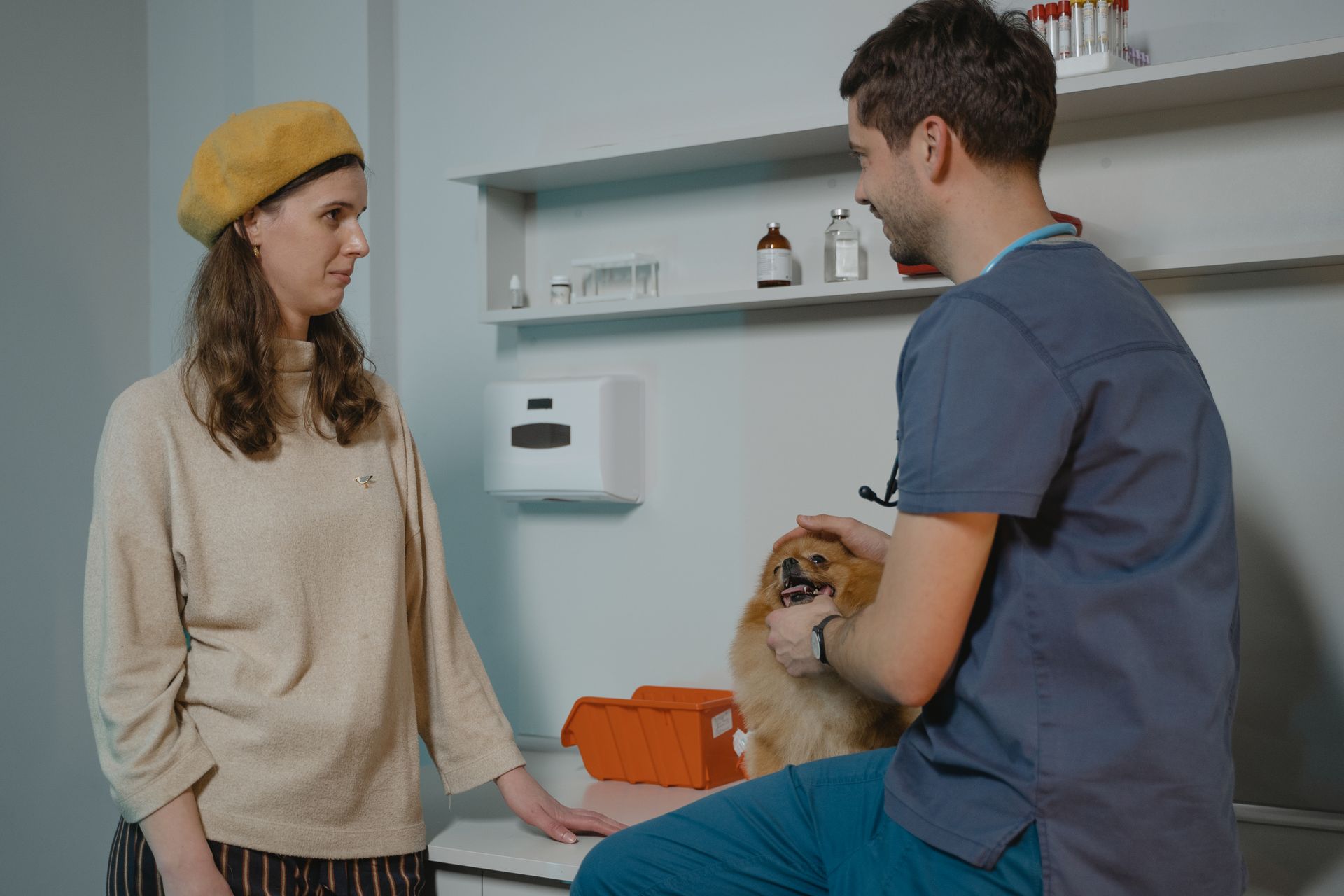 Vétérinaire examinant un chien en présence de son propriétaire